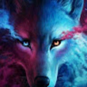 Meet your Posher, Joni